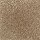 Mohawk Carpet: Classical Design II 12' Desert Mud